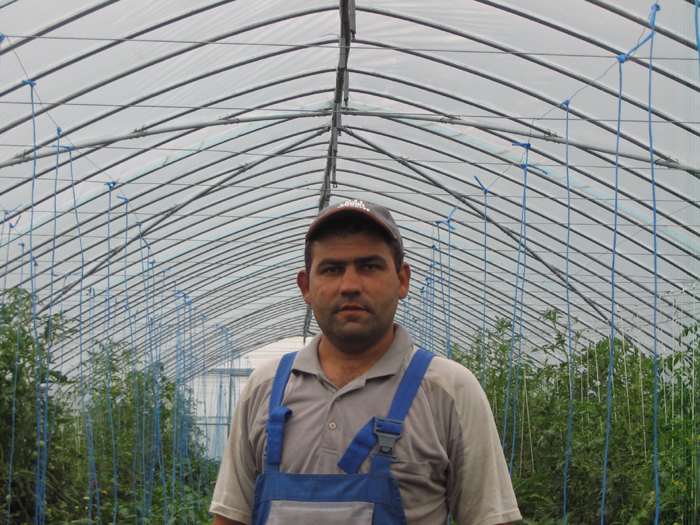 Radu Taus, cultivator sfecla Brasov