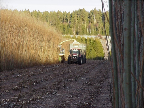 Afacere: superburuieni pentru foc