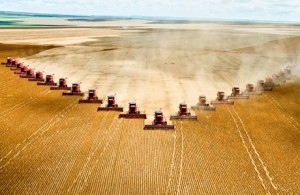agricultura-industriala_straini
