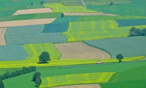 terenuri-agricole_straini