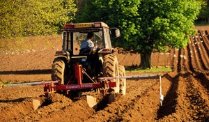 camere_agricole