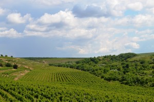 ostrov