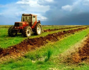 terenuri-agricole_ADS