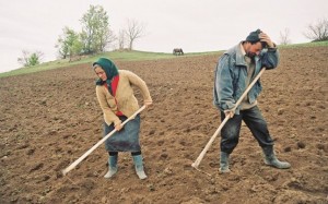 agricultori_subventii
