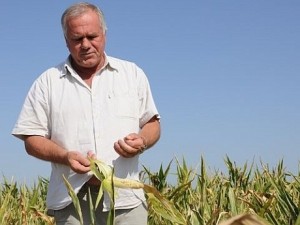 laurentiu-baciu-lapar