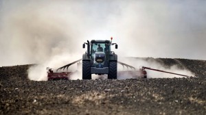 ROMANIA-ECONOMICS-AGRICULTURE-DROUGHT-FEATURE