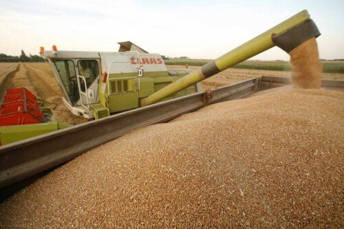 Importuri de cereale din Ucraina doar pe baza de licenta
