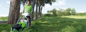 stihl