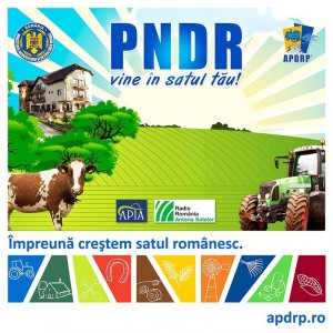 pndr