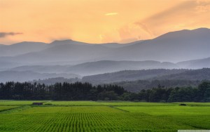 agric
