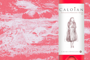 caloian 2