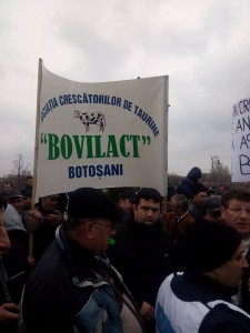 protest 14