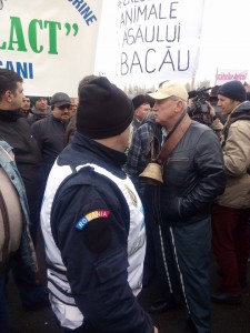 protest 15