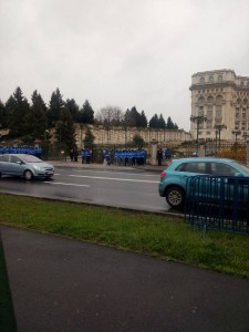 protest 28