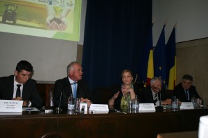 IMG_6705