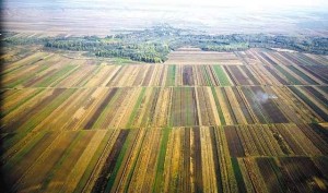 terenagricol-mfax-main