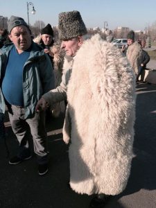 ciobani