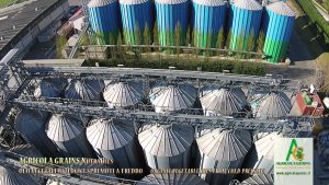 agricolagrains