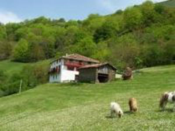 Peste 400 milioane de euro pentru GAL-uri. Solicitantii pot obtine pana la 200.000 euro nerambursabili
