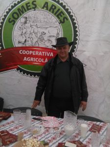 tandea