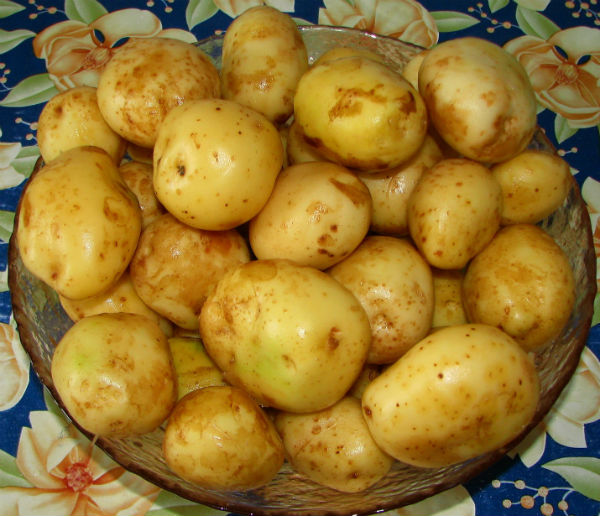 Primii cartofi noi romanesti au ajuns in piete cu o luna mai devreme. Care este secretul producatorilor din Calarasi (Dolj)?