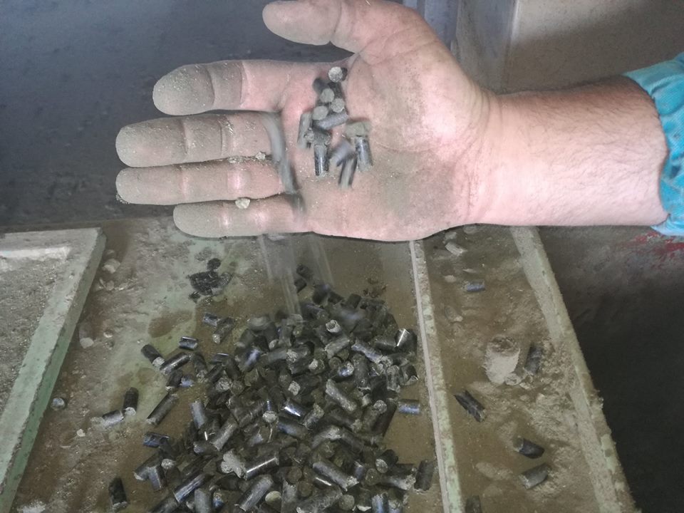E vremea lucernei. La Somosches (Arad) a inceput peletarea lucernei ecologice