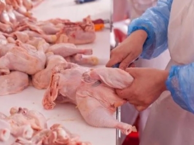 Expertii UE avertizeaza: In magazinele romanești se vinde carne de la pui tratati cu antibiotice