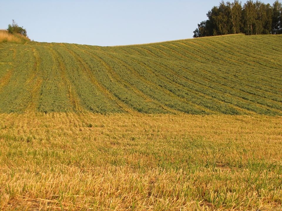 AFIR: Fondurile pe submasura 4.1 „Investitii in exploatatii agricole”, epuizate