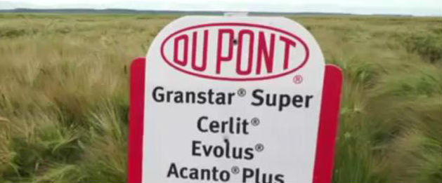 Vasile Iosif, DuPont: Trebuie sa scapam de blestemul a 4 tone/ha productie medie de grau. Este o rusine pentru Romania!