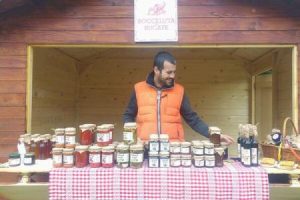 bihor