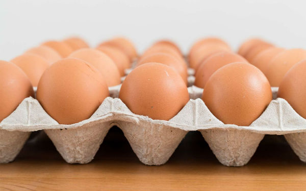 UCPR: In Romania nu se foloseste Fipronil in fermele avicole