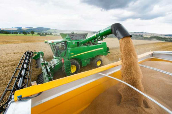 Productii record in Dolj: 5,58 to/ha la orz si 4,6 to/ha la grau