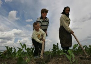 agricultura_saracie