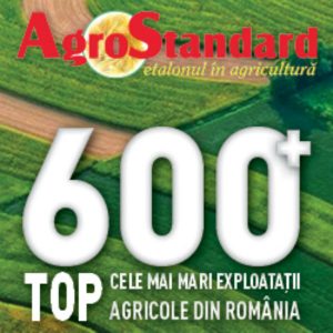 top 600