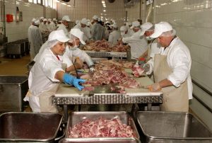 CARNE