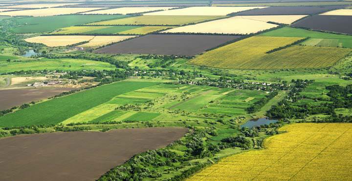 Exploatatiile agricole cu peste 50 ha detin 51,1% din suprafata agricola utilizata