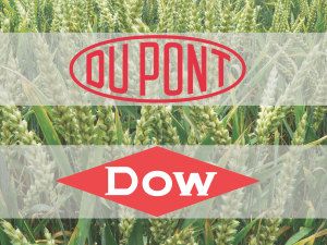 Dow-Dupont