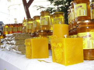 APICULTURA