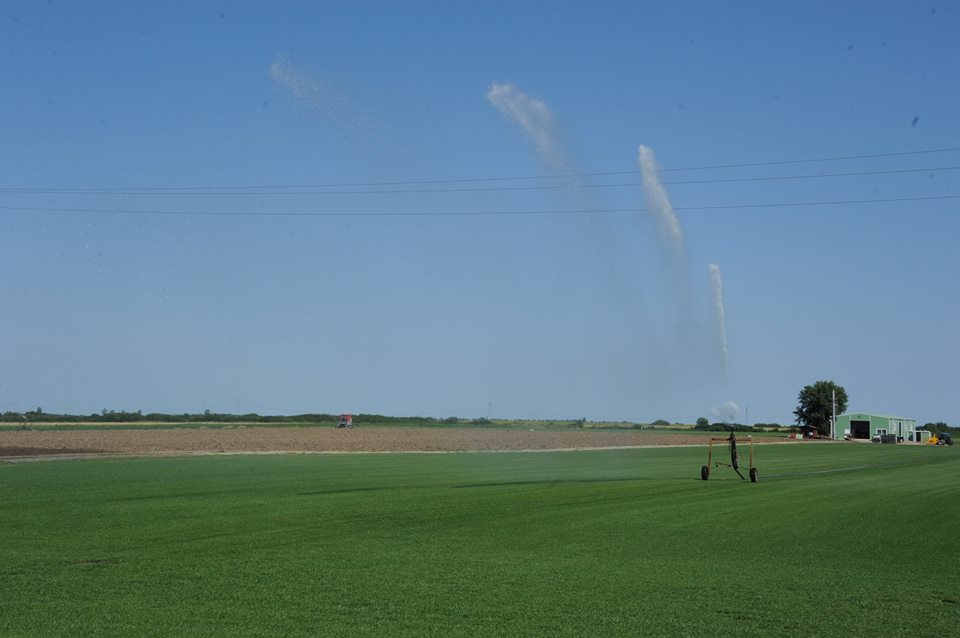 Romania la taraba. Dambovita, Timis si Arad, in topul tranzactiilor cu terenuri agricole