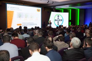 bayer2