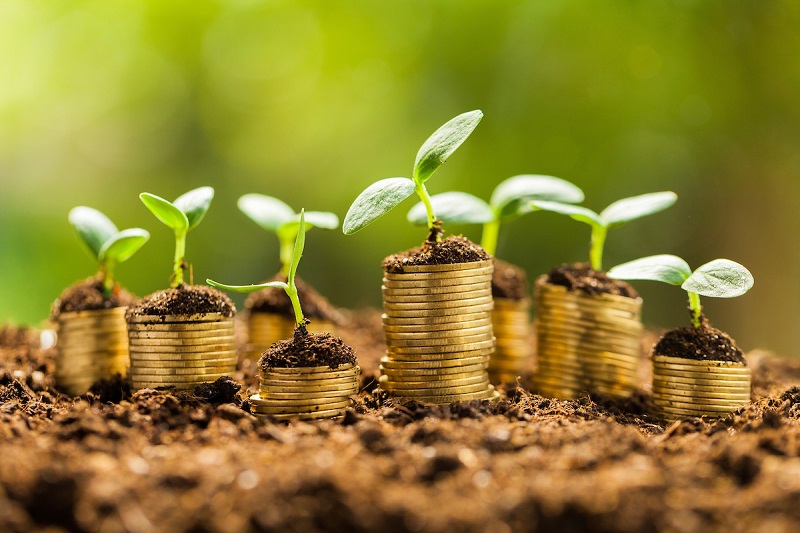 Sistem financiar pentru o economie ecologica
