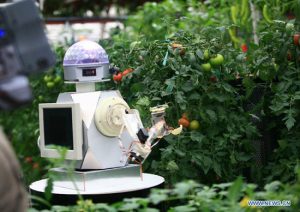 robots