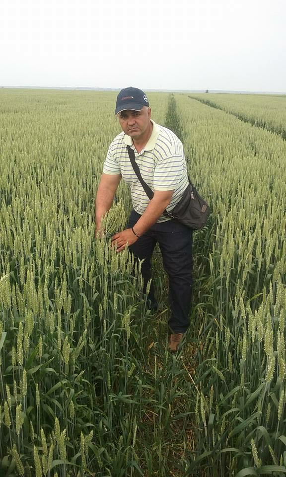 Cine este fermierul din Mehedinti care a obtinut cea mai mare productie de grau din Romania, in 2017