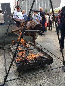 OAIE PROTAP