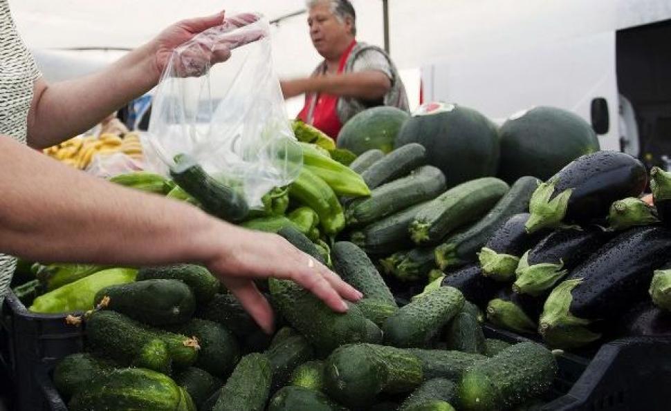 Istoria se repeta si in acest an. In Oltenia, producatorii au ajuns sa vanda castravetii cu mai putin de 30 de bani/kg!