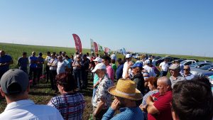 ecofol2