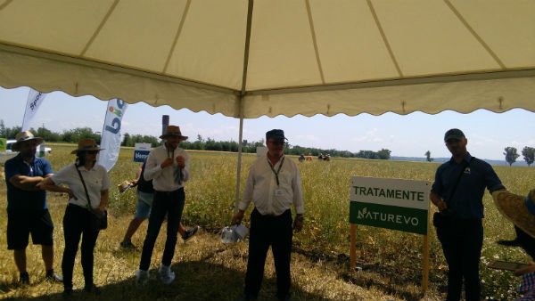 Enoiu, Naturevo: Productia de calitate se cauta. Am fermieri care obtin peste 80  de bani/kg la grau si porumb