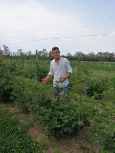 marius badea