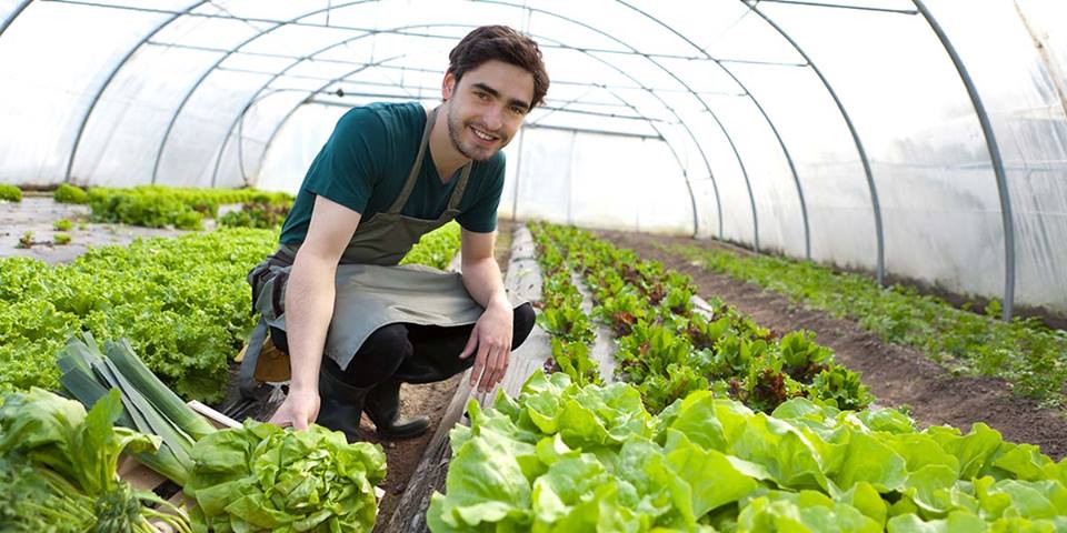 Circa 12.500 de tineri fermieri, beneficiari ai PNDR 2014-2020