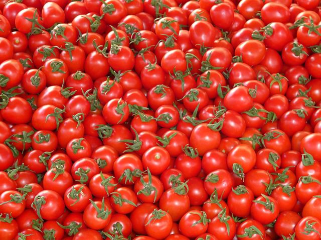 Se poate si mai rau decat 80 bani/kg de rosii! La procesare, se porneste de la 40 bani/kg